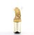 Pleaser FLAMINGO-808 Clear/Gold Chrome