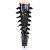 Pleaser DELIGHT-2049 Black Patent/Black EU-41 / US-11