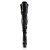Pleaser DELIGHT-3023 Black Stretch Patent/Black EU-39 / US-9