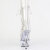Pleaser DELIGHT-1021C Platform Ankle Boots Clear EU-35 / US-5