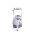 Fabulicious FLAIR-419 Gothic Sandalettes Clear Glitter Silver EU-42 / US-12