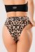 Shark Polewear Shorts Bali Leopard
