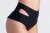 Polerina Shorts Dicentra Black