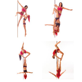 Book The Ultimate Doubles Pole Bible 2nd Edition