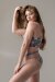 Pole Addict Shorts The Mesh One Kolibri XS