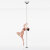 Lupit Pole Studio Champion Pole Stainless Steel 45 mm