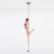 Lupit Pole Studio Champion Pole Stainless Steel 45 mm