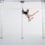 Lupit Pole Studio Champion Pole Stainless Steel 45 mm