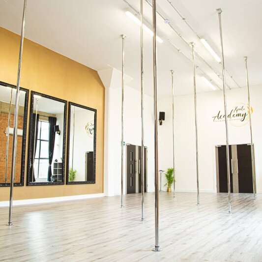 X-Pole Competition Pole One-Piece Stainless Steel with X-Lock System 45 mm