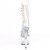 Pleaser ADORE-1021C Plateau Ankle Boots Transparent EU-36 / US-6