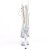Pleaser ADORE-1021C-2 Plateau Ankle Boots Rhinestones Transparent EU-39 / US-9