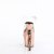Pleaser RAPTURE-808-LT Plateau Sandalettes Transparent Rose Gold EU-36 / US-6