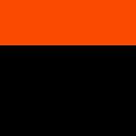 Black / Orange